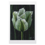 tulipa spring green customized stationery