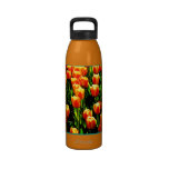 Tulipanes de la sol botella de agua reutilizable