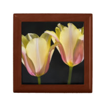 Tulipanes gemelos de la hermana cajas de joyas