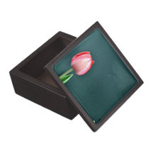 Tulipanes rojos contra fondo oscuro cajas de regalo de calidad