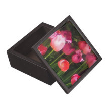 Tulipanes rosados en jardín cajas de joyas de calidad