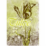 Tulipe Cut Out