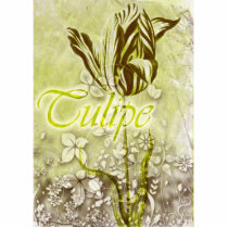 Tulipe photo sculptures