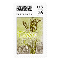 Tulipe postage