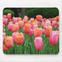 Tulips #1 mousepads by clarachandler Tulips #1 mousepads