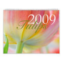 Tulips 2009 Calendar