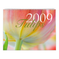 Tulips 2009 Calendar