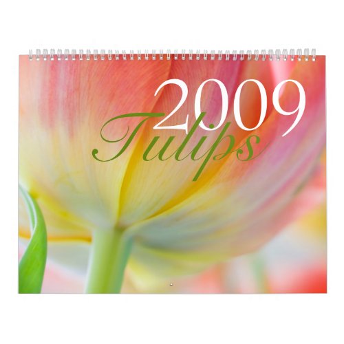 Tulips 2009 Calendar calendar