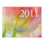 Tulips 2011 Calendar style=border:0;