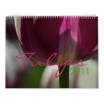 Tulips 2011 Calendar style=border:0;