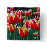 Tulips 3 Button