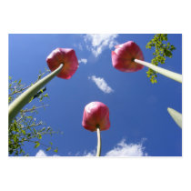 Tulips 3 "Worms eye view" ~ ATC card business cards by Andy2302 Tulips 3 "Worms eye view" ~ ATC card business cards