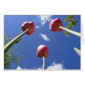 Tulips 3 "Worms eye view" ~ card