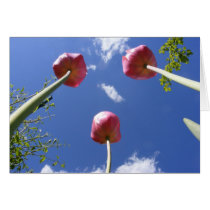 Tulips 3 "Worms eye view" ~ card by Andy2302 Tulips 3 "Worms eye view" ~ card