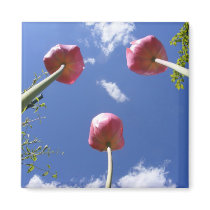 Tulips 3 "Worms eye view" ~ magnet by Andy2302 Tulips 3 "Worms eye view" ~ magnet