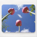 Tulips 3 'Worms Eye View" ~ mousepad