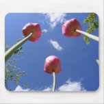 Tulips 3 'Worms Eye View" ~ mousepad