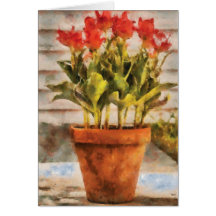 Tulips - A pot of Tulips Card