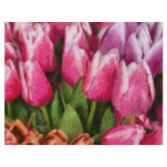 Tulips - A young girls delight flyers