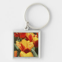 Tulips abound in Keukenhof Gardens, Holland. Key Chain