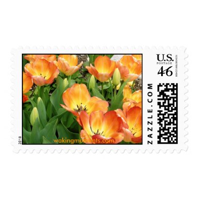 Tulips ala Turk Postage Stamp by wolfsongdesign