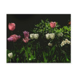 Tulips and Daffodils Postcard