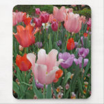 Tulips and Pansies 2 Mouse Pads