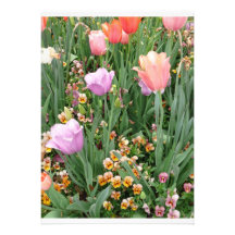 Tulips and Pansies Personalized Invite