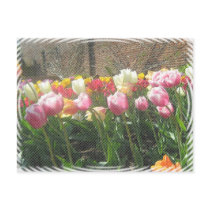 Tulips at Osborne House, Isle of Wight postcards by MagicFabric Tulips at Osborne House, Isle of Wight postcards