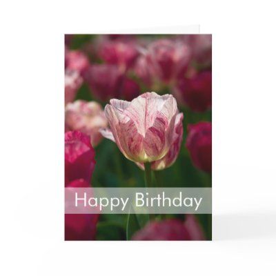 Tulips Birthday Card | Geburtstagskarte Tulpen by HortusFloridus