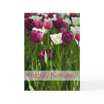 Tulips Birthday Card | Geburtstagskarte Tulpen by HortusFloridus