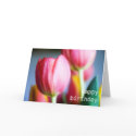 Tulips • Birthday Greeting Card by SabineSt Tulips • Birthday Greeting Card