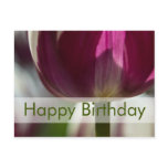 Tulips Birthday Postcard | Geburtstagskarte Tulpen