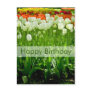 Tulips Birthday Postcard | Geburtstagskarte Tulpen