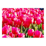 Tulips Business Card