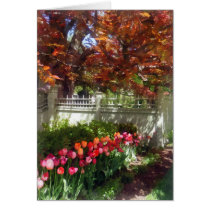 Tulips by Dappled Fence cards