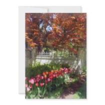 Tulips by Dappled Fence invitations