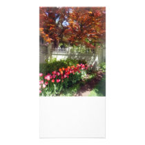Tulips by Dappled Fence photo cards