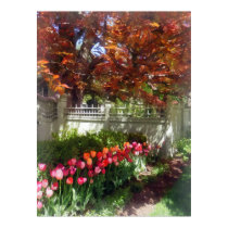 Tulips by Dappled Fence posters