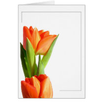 Tulips cards by mlane53 Tulips cards