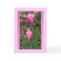 Tulips cards