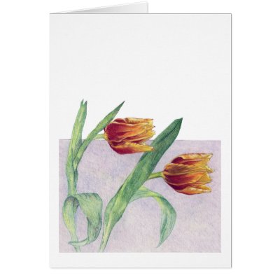 Tulips Greeting Cards by floatinglemons