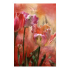 Tulips - Colors Of Love Art Poster/Print print