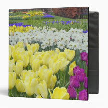 Tulips, daffodils, and Grape Hyacinth flowers, Vinyl Binders