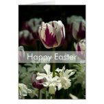 Tulips Easter Card | Osterkarte Tulpen