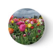 Tulips Field Pinback Button