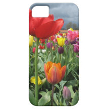Tulips Field iPhone 5 Cover