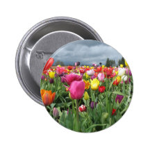 Tulips Field Pinback Button