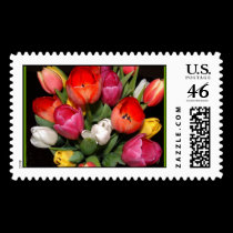 Tulips Fireworks Postage postage