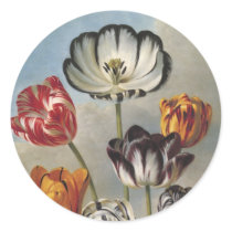 Tulips Floral Sticker Envelope Seal